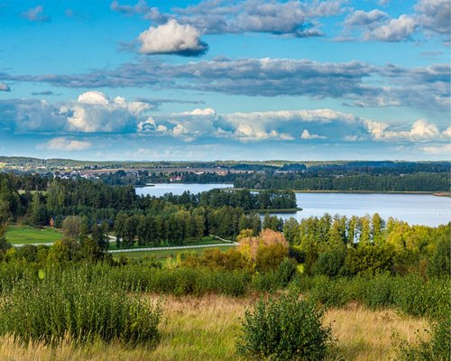 Relaxing view of nature with trees and sky during a break